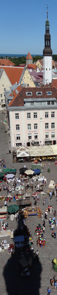 Blick vom Rathausturm auf den Markt und die Heilig-Geist-Kirche