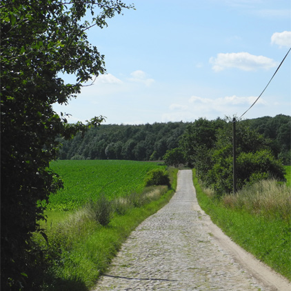 Grumsiner Forst - Waldweg von Schmargendorf aus