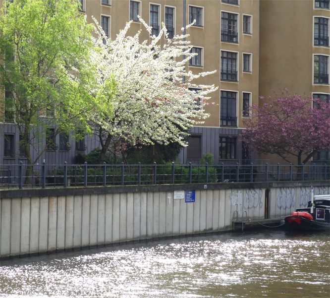 Frühling an der Spree