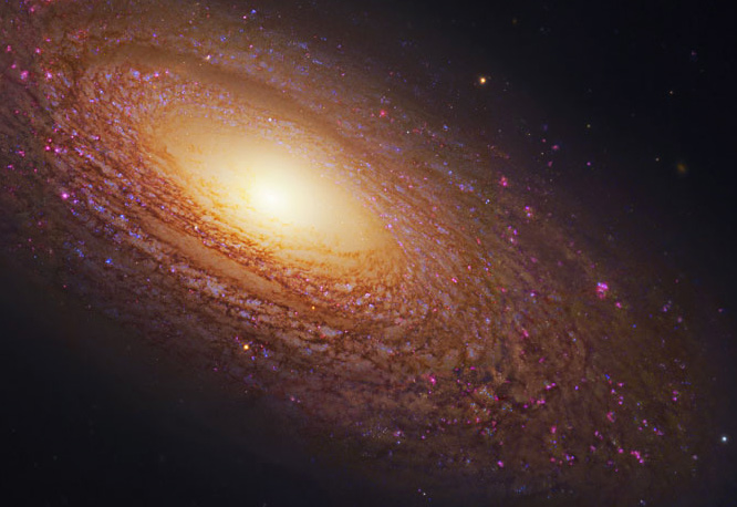 Spiral Galaxy NGC 2841