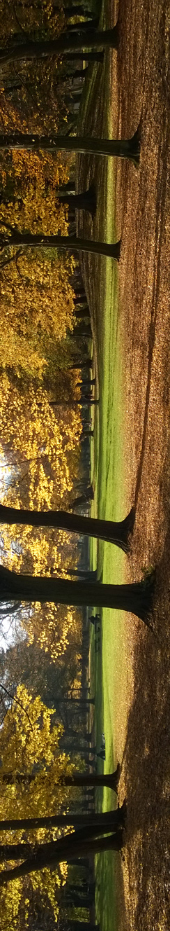 Indian Summer im Schlosspark Niederschönhausen