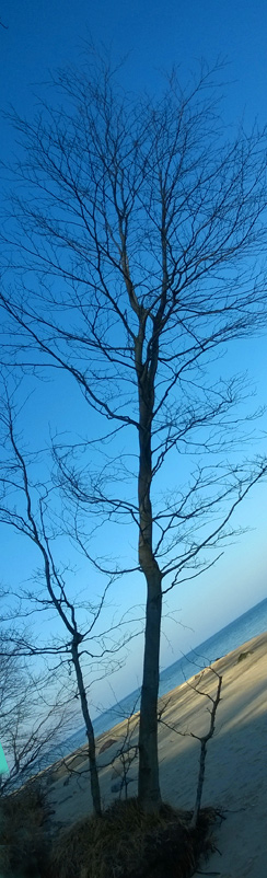 Steilküste bei Bansin