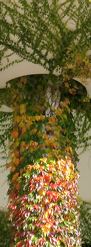 Säule am Kanzleramt