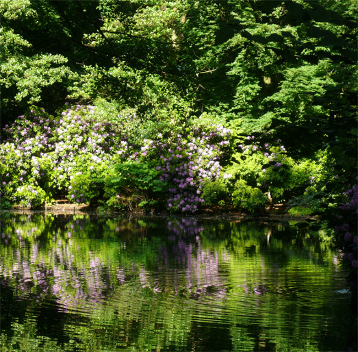 Ende Mai im Tiergarten