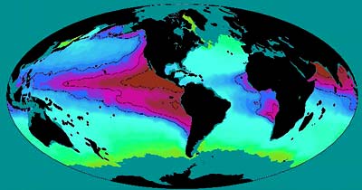 Sauerstoffarme Meeresregionen