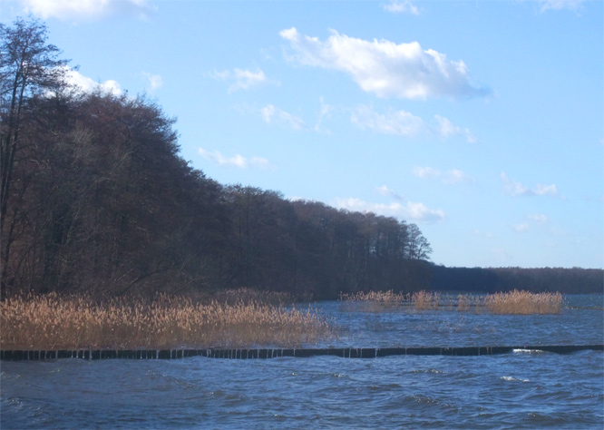 Müggelsee im Vorfrühling