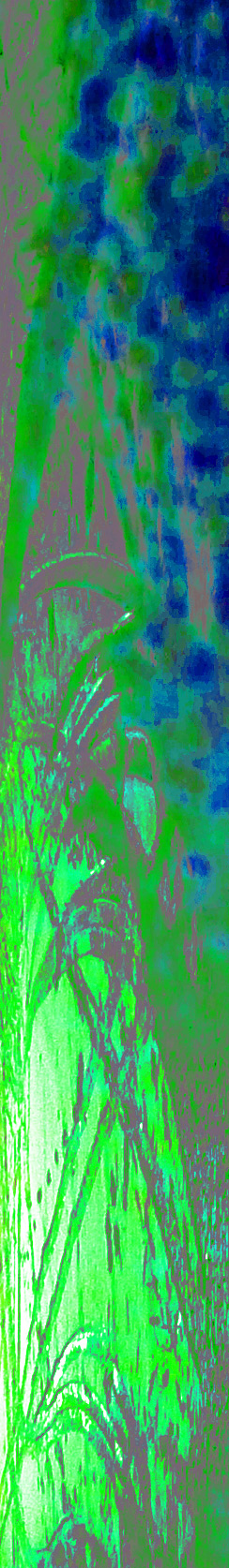 Kunst vor der Bundeskunsthalle Bonn