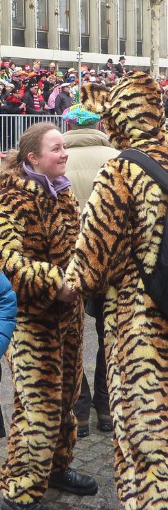 Rosenmontag 2010  in Bonn