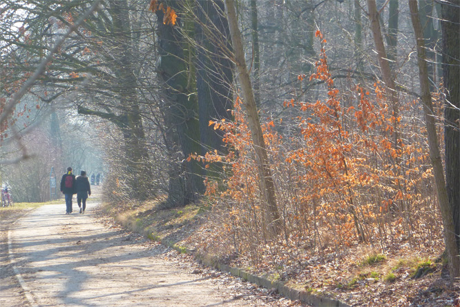 Frühling im Plänterwald