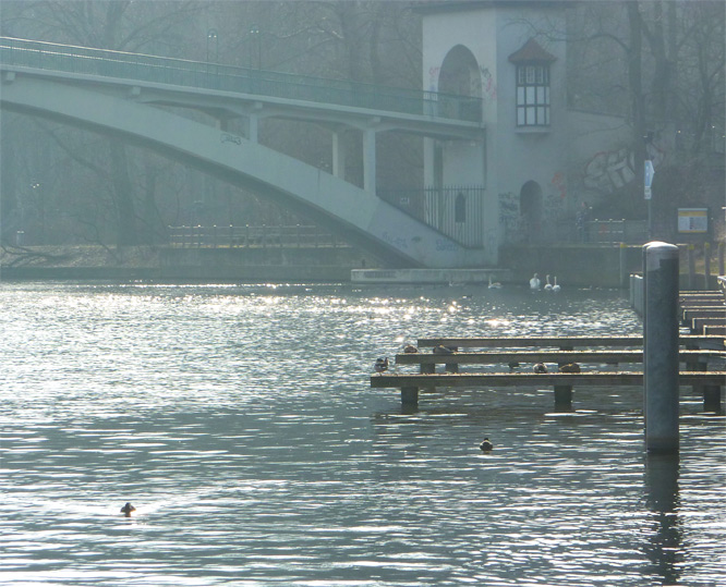 Frühling im Plänterwald