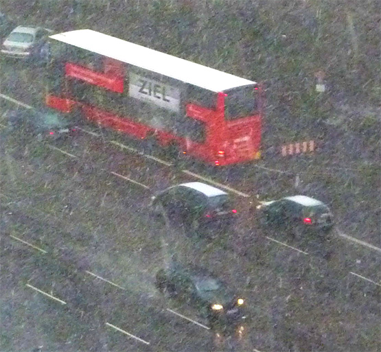 Sauwetter am 14. März 2010