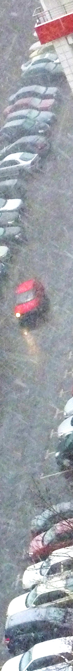 Sauwetter am 14. März 2010