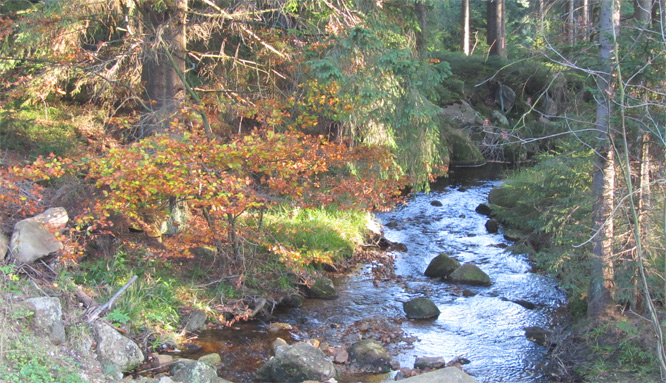 Brocken Oktober 2010